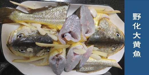 【同城包邮】丨团购·年货集【霞浦野化大黄花】丨商超价¥990 赞字村现货¥698丨约1.25kg/只 商品图5