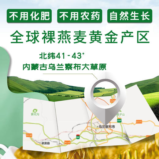 【超值两袋】富硒裸燕麦片 地理标志产品  内蒙古天然富硒纯燕麦片 塞主粮 冲饮谷物麦片早餐 即食无糖精0添加 商品图1