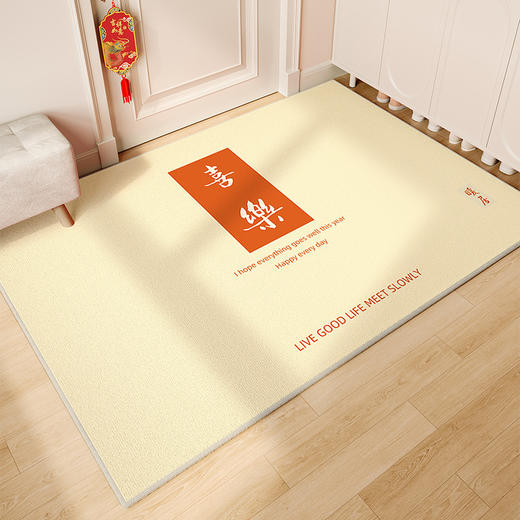 【新年好物！水晶绒地毯】红色入户门地垫高级感 吸水防滑脚踏垫 家用耐脏易打理 水晶绒地垫-QQ 商品图13