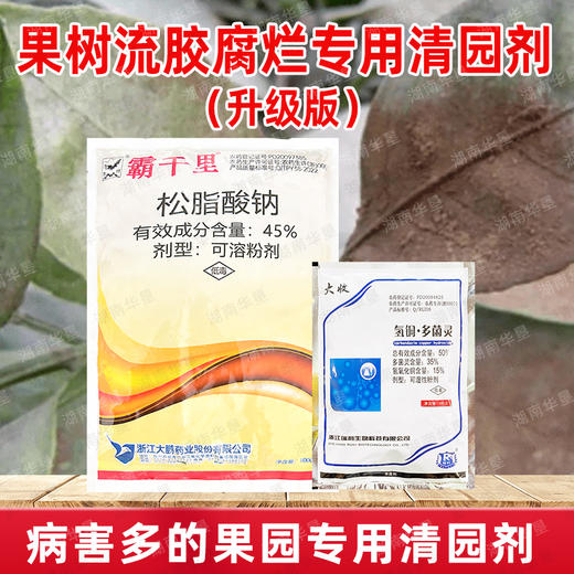 果树流胶溃疡腐烂清园松脂酸钠果园茶园清园专用 商品图4