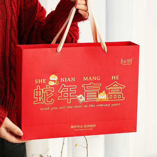 蛇年趣味盲盒 商品图5