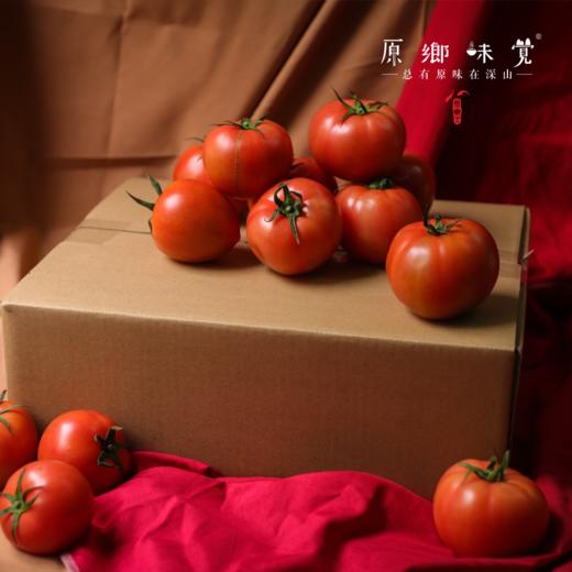 有机番茄西红柿（基地直发-顺丰/京东包邮） | 多种规格，来自四只瓢虫兄弟农场，生产者：詹志宇【合作生产，公平贸易】 商品图9