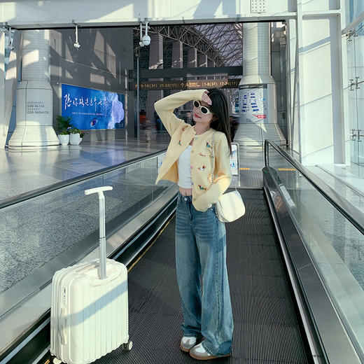 <曾小咸推荐>2.6现货秒杀 ！微信超特价！绣花小狗系扣毛衣开衫 日常189.99 立减100 秒杀89.99！！ 商品图4