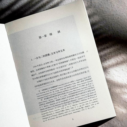 画作的诞生 近代早期欧洲的元绘画 六点图书 维克多·斯托伊奇塔 商品图8