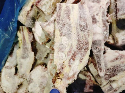 黄标牛排5斤 商品图0