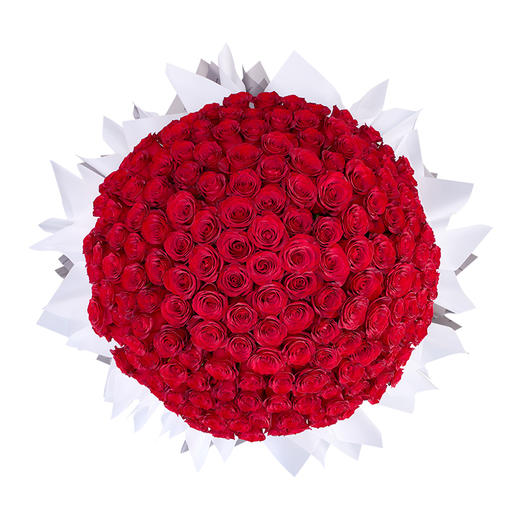 【高级定制鲜花】下单前请联系客服确认 ROSEONLY诺誓 鲜花玫瑰 钟情-手捧520支 199枝 送女友送老婆 商品图2