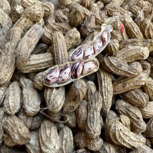 生态七彩花生（成都仓库-顺丰快递 ）｜500g/袋，来自云南丽江，生产者：张秀云【合作生产，公平贸易】 商品图4