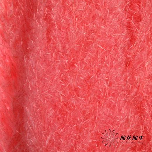 干花 | 大芦苇桃红 商品图3