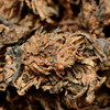 彩农茶·景迈｜十年醇老茶头 商品缩略图1