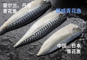 快晓鲜 · A级挪威原味野生青花鱼500g(3-4片)*1袋