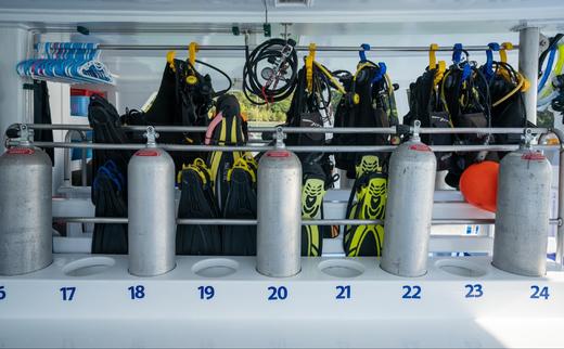 泰国普吉斯米兰群岛二日游【两天一晚船宿OW持证四次潜水|夜间/深潜水】往返接送 商品图7