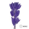 干花 | 兔尾草篮紫 商品缩略图0