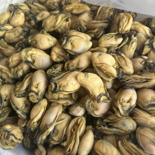 【特大金蚝干】（1斤20-30个）潮汕地区大蚝之乡特大金蚝干，个头大、肉厚、鲜甜、爽口 商品图2