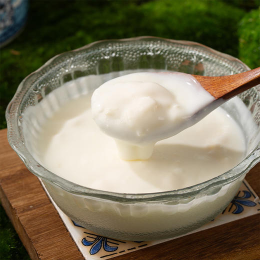 【杨博士甄选】西域美农欧若姆鲜奶皮子酸奶  570g/1000g  （有蔗糖/无蔗糖）内蒙酸奶可以嚼着吃的老酸奶 商品图6