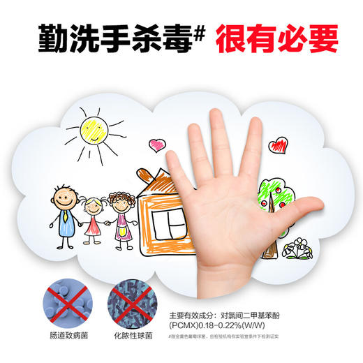 【分仓直发包邮】威露士泡沫抑菌洗手液健康呵护300ml*2 商品图3