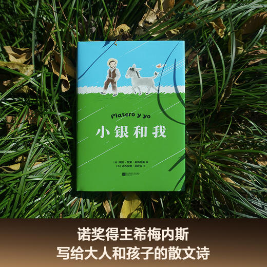 小银和我（写给大人和孩子的童话，与《小王子》齐名的心灵读本） 商品图5