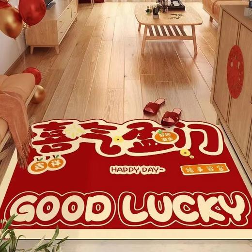 「数款可选！硅藻泥门垫」入户门地垫红色喜庆进门脚垫新年门口玄关地毯可裁剪居家布艺 商品图3
