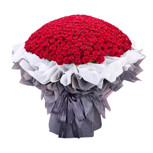 【高级定制鲜花】下单前请联系客服确认 ROSEONLY诺誓 鲜花玫瑰 钟情-手捧520支 199枝 送女友送老婆 商品图4