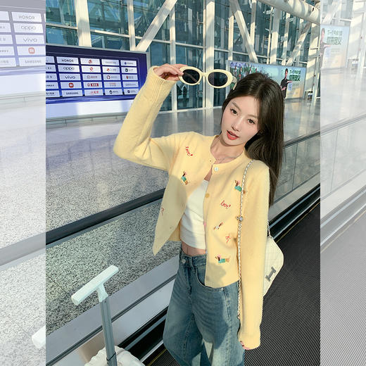 <曾小咸推荐>2.6现货秒杀 ！微信超特价！绣花小狗系扣毛衣开衫 日常189.99 立减100 秒杀89.99！！ 商品图2