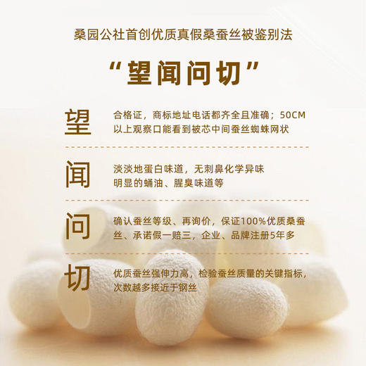 【桑园公社】蚕丝被 ~贡缎提花系列 商品图2