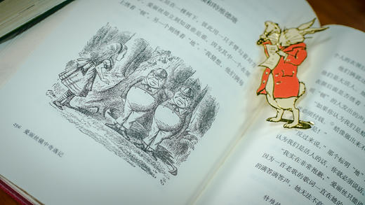 【积分兑换】【限量珍藏版】《爱丽丝漫游奇境》编号随机 商品图3