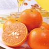 甜果源源 广西沃柑【精品果】高品质橘子 商品缩略图1