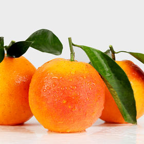 【顺丰快递】四川塔罗科血橙 当季四川红肉果冻橙 手剥甜橙 - BDXX