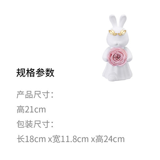 ROSEONLY诺誓 永生玫瑰 公仔系列 爱冕兔 Baby宝贝系列 送朋友 情人节礼物 商品图5