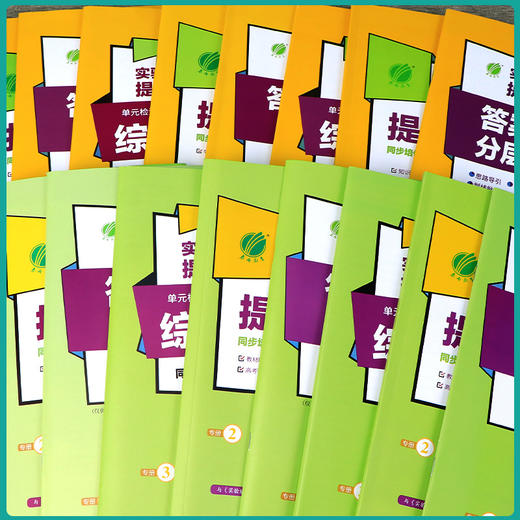 【2025学年】高中实验班全程提优训练 语文数学英语物理 商品图2