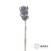 干花 | 兔尾草灰蓝 商品缩略图2
