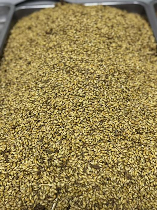 料足！山楂六物膏 焦山楂麦芽陈皮茯苓鸡内金怀山药 减减期 宝宝胃口好！大餐后悔汤 商品图11