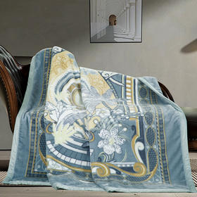 鑫缘 拉舍尔双层超柔毛毯 BTH2023