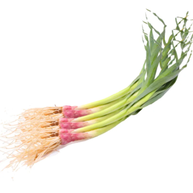 青蒜苗(350±30g)（精包）