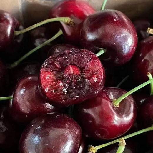 【分仓直发包邮】智利进口车厘子 （主要发桑缇娜）XL（果径约24-26mm 一斤约50个）2斤（净重1.8左右） 商品图0