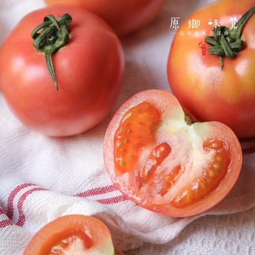 有机番茄西红柿（基地直发-顺丰/京东包邮） | 多种规格，来自四只瓢虫兄弟农场，生产者：詹志宇【合作生产，公平贸易】 商品图4