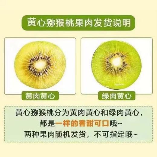 甜果源源 四川黄心猕猴桃 商品图3
