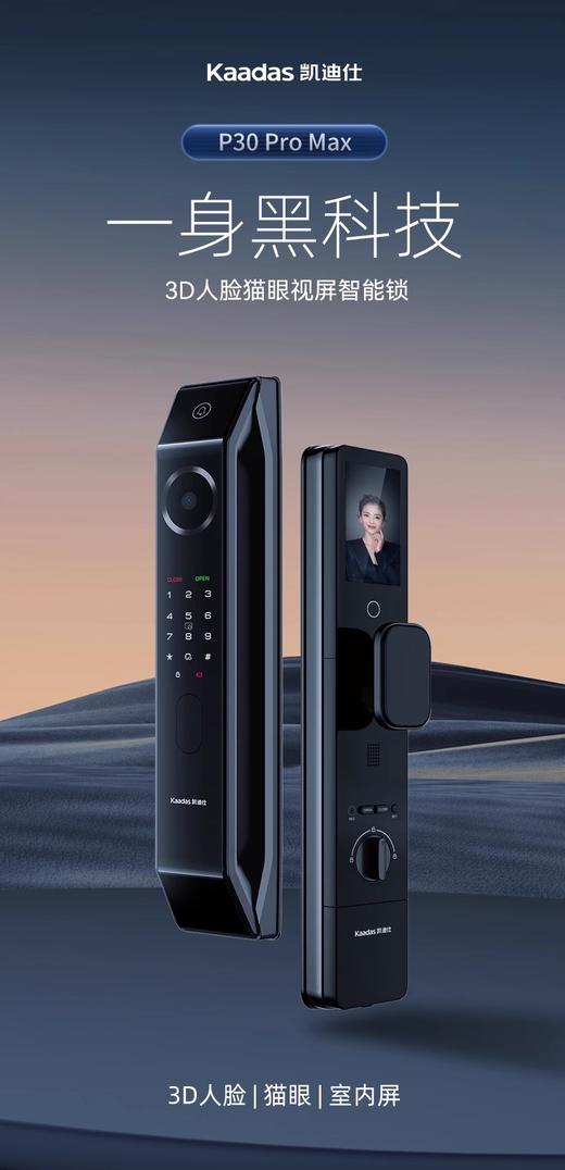【南京焕新】凯迪仕密码锁 P30ProMax 可预约时间上门安装 商品图0