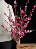 同城甄选精品花材梅花鲜切枝条一扎 商品缩略图2