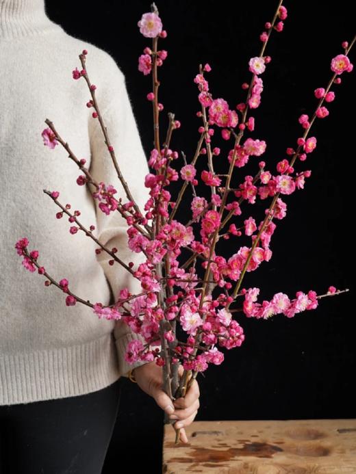 同城甄选精品花材梅花鲜切枝条一扎 商品图2