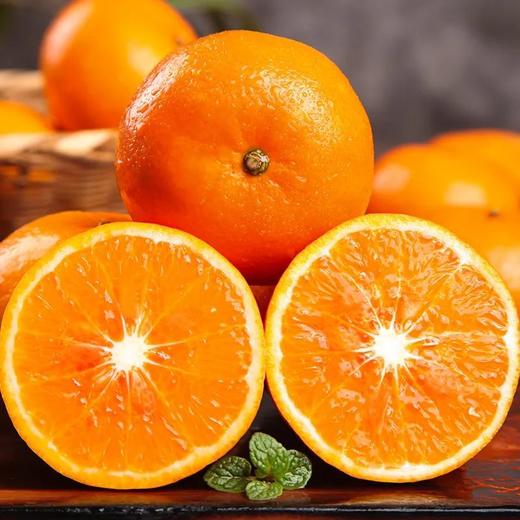甜果源源 广西沃柑【精品果】高品质橘子 商品图0