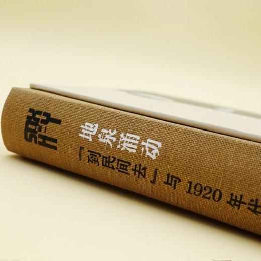 地泉涌动：“到民间去”与1920年代中国的文化再造 袁先欣著 商品图2
