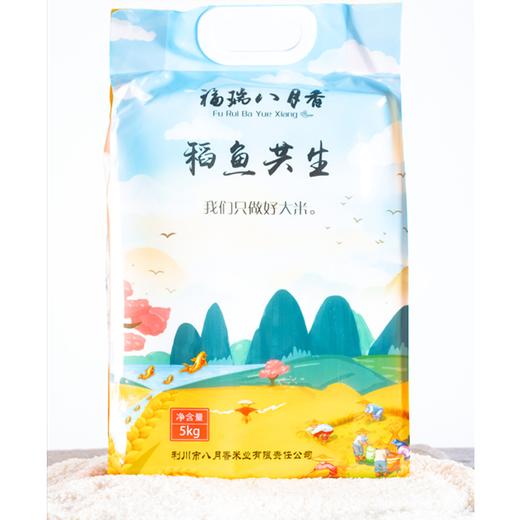 【恩施】利川八月香稻鱼共生大米5kg 商品图0