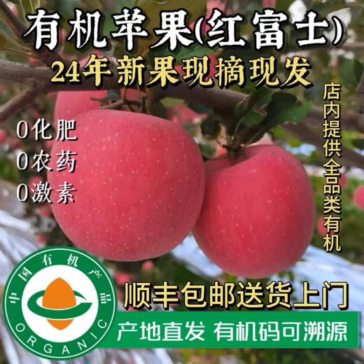 陕西兴皇有机红富士苹果 10斤装（含箱） 商品图3
