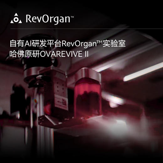 「LAIFE卵巢冻龄胶囊」LAIFE OVAREVIVE II™ 60粒/瓶 商品图1