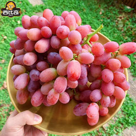 【脆嫩多汁】克伦生无籽红提 约500g/份