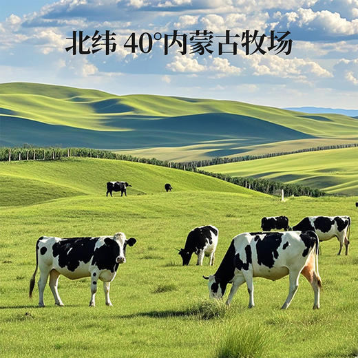 【FX】西域美农欧若姆鲜奶皮子酸奶 570g*2原味有蔗糖无蔗糖/1000g*2原味/酸奶PLUS 商品图5