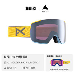 24/25ANON雪镜LB M5 GOLDEN/PRCV SUN ONYX
