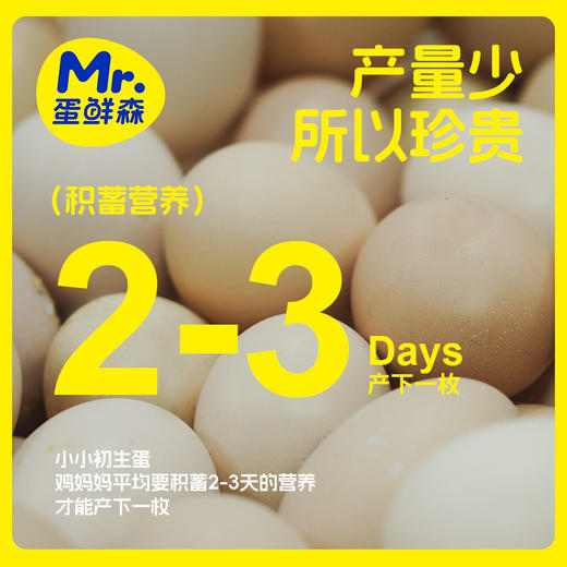 一年只卖一个月 限量2000盒 蛋鲜森金奖无抗初生蛋 蛋鲜森可生食土鸡蛋 顺丰/京东发 商品图6