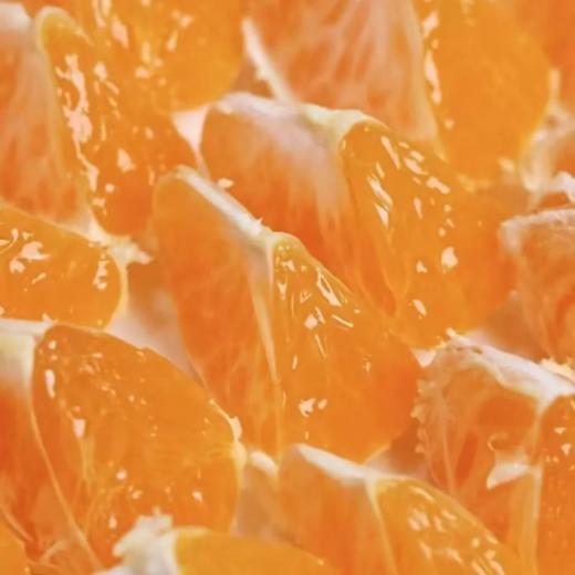 甜果源源 涌泉蜜桔柑橘新鲜水果年货节 商品图1