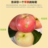 甜果源源 高山冰糖心丑苹果【不是每个果子都有冰糖心】 商品缩略图2